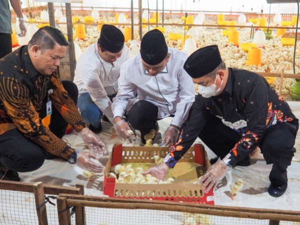 PELUANG BISNIS: Pimpinan Baznas RI Nur Chamdani bersama Wakil Bupati Madiun Hari Wuryanto meninjau ternak unggas ayam umur satu hari. (BAZNAS FOR JAWA POS RADAR CARUBAN)