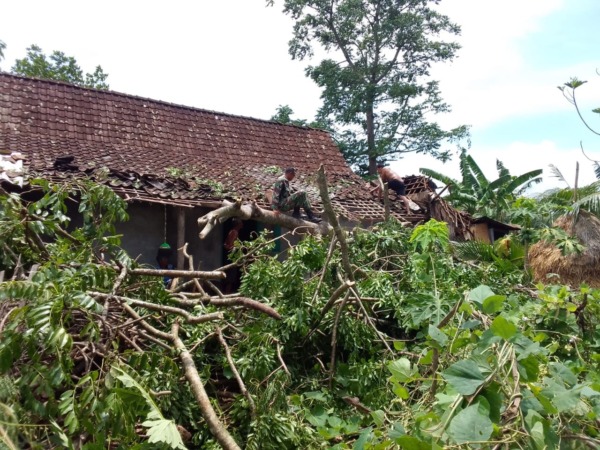 DISAPU ANGIN KENCANG: Salah satu rumah warga di Ngawi yang atapnya rusak tertimpa pohon tumbang, Oktober tahun lalu. (DOKUMEN JAWA POS RADAR NGAWI)
