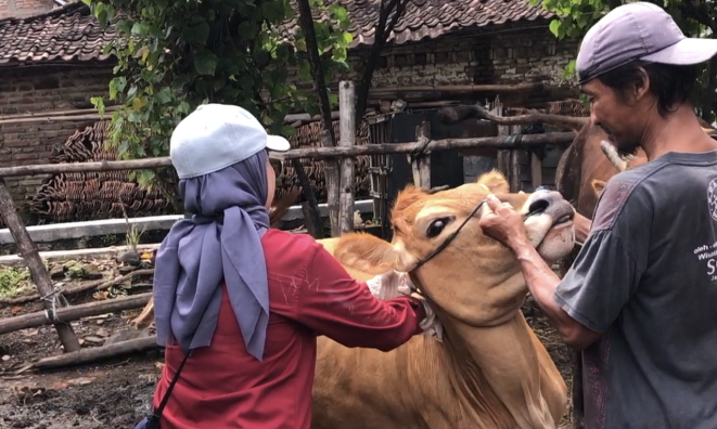 WASPADA: LSD dikhawatirkan masuk ke Magetan. (NUR CAHYONO/JAWA POS RADAR MAGETAN)