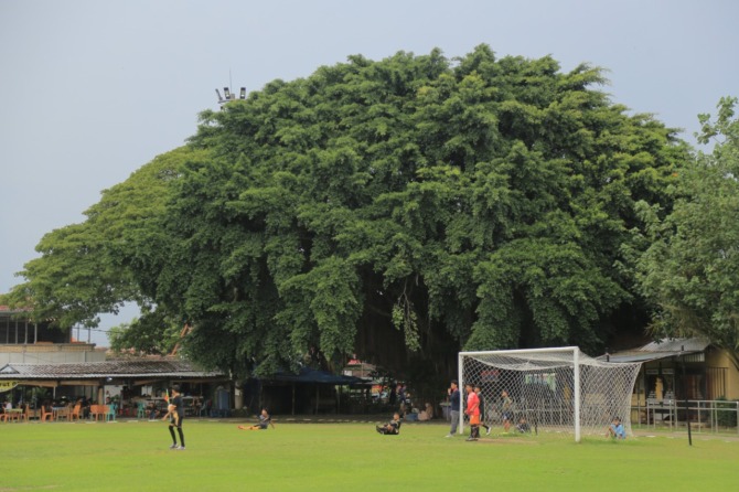 MASIH RENCANA: Pemkot Madiun berencana merevitalisasi Lapangan Gulun, Kejuron, Taman, tahun depan. (BAGAS BIMANTARA/JAWA POS RADAR MADIUN)