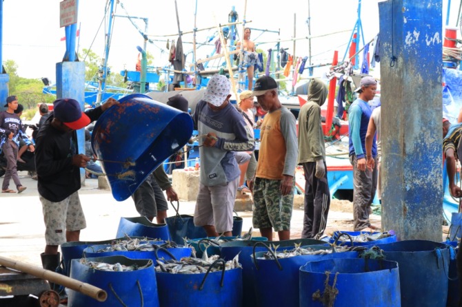HASIL LAUT: Belasan ton ikan hasil tangkapan nelayan dilelang di Pelabuhan Perikanan Pantai (PPP) Tamperan Pacitan kemarin (20/1). (SUGENG DWI N./RADAR PACITAN)