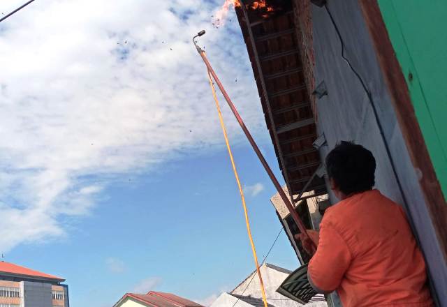 BAHAYA: Petugas BPBD Kota Madiun mengevakuasi sarang tawon vespa di Kanigoro kemarin (21/2). (BPBD UNTUK JAWA POS RADAR MADIUN)