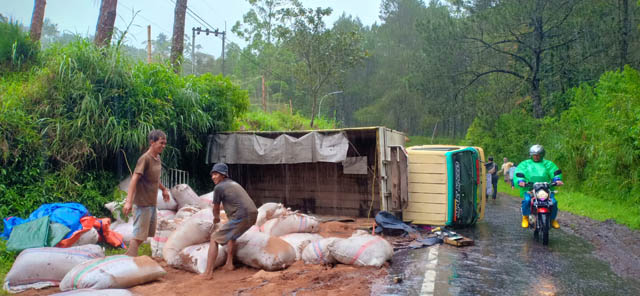 APES: Sejumlah pekerja membereskan pakan ternak muatan truk nopol S 9106 SC yang terguling di jalur lama Sarangan – Cemorosewu kemarin. (APRILITA SARI/JAWA POS RADAR MAGETAN)
