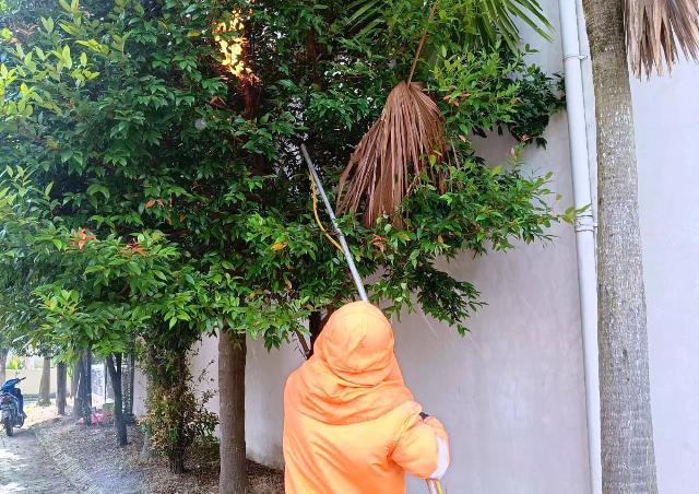 AMANKAN: Petugas damkar saat mengevakuasi sarang tawon. (ISTIMEWA)