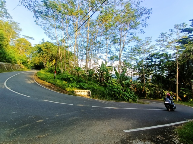 INFRASTRUKTUR: Akses Jalan Arjosari–Nawangan yang menjadi penghubung Pacitan dengan Wonogiri bakal dilebarkan tahun ini oleh Pemprov Jatim untuk ruas Desa Temon. (HENGKY RISTANTO/RADAR PACITAN)