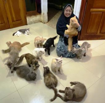 PECINTA KUCING: Eny Nurwahyuni saat bermain bersama kucing-kucing piaraannya. (ISTIMEWA)
