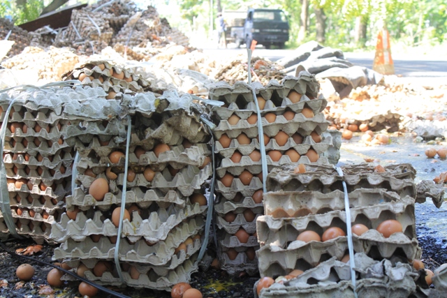 LAKA TUNGGAL: Muatan telur ayam berserakan di pinggir Jalan Raya Ponorogo–Trenggalek kemarin (5/4). (AJI PUTRA/RADAR PONOROGO)