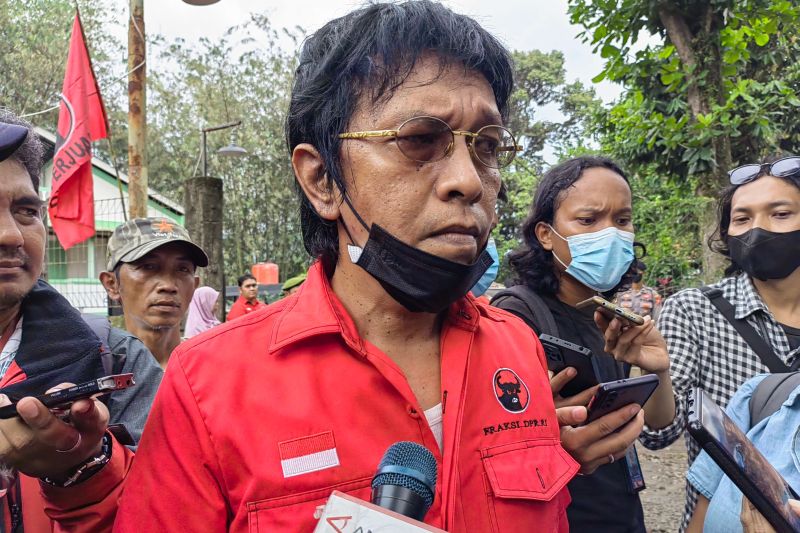 Sekjen Pena98 Adian Napitupulu (ANTARA)
