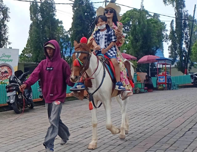 ENERJIK : Ratusan kuda di Sarangan tetap berstamina saat ditunggangi wisatawan. (APRILITA SARI/JAWA POS RADAR MAGETAN)