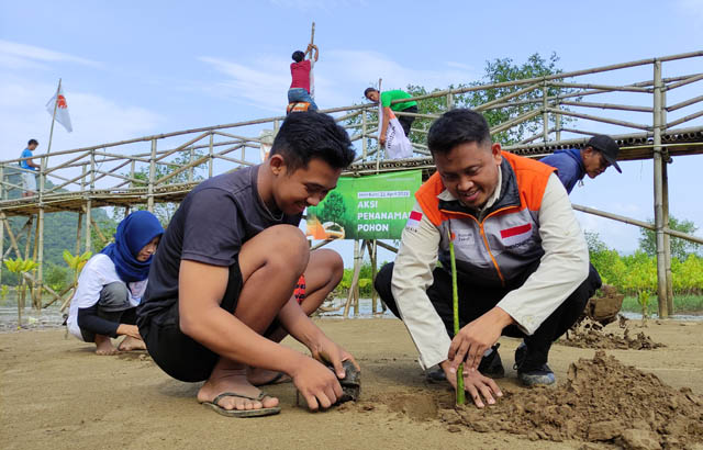 PEDULI ALAM: Pegiat lingkungan hidup menanam mangrove di muara Sungai Grindulu, di Desa Kembang, Pacitan Kota, beberapa waktu lalu. (SUGENG DWI/RADAR PACITAN)