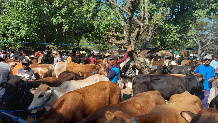 PERPUTARAN UANG TINGGI: Pasar Legi menjadi salah satu objek penyumbang pendapatan asli daerah (PAD). (ASEP SYAEFUL BACHRI/DOK. JAWA POS RADAR NGAWI)