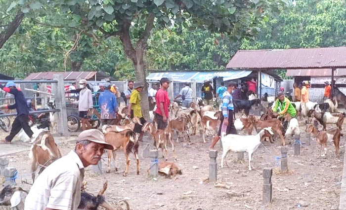 AKTIVITAS PERDAGANGAN: Suasana Pasar Gorang-gareng, Kawedanan, kemarin (18/6). (APRILITA SARI/JAWA POS RADAR MAGETAN)