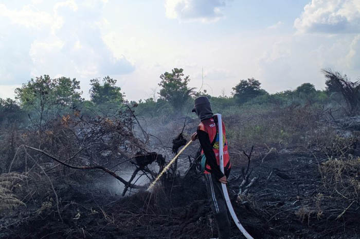 Arsip Foto - Petugas memadamkan kebakaran lahan gambut di Kota Palangka Raya, Provinsi Kalimantan Tengah. (HO-BPBD Kota Palangka Raya/ANTARA)