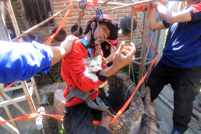 BERJIBAKU: Petugas pemadam kebakaran berhasil menyelamatkan kucing yang tercebur di sumur sedalam 20 meter di Desa Kedung Banteng, Sukorejo kemarin (9/6). (AJI PUTRA/JAWA POS RADAR PONOROGO)