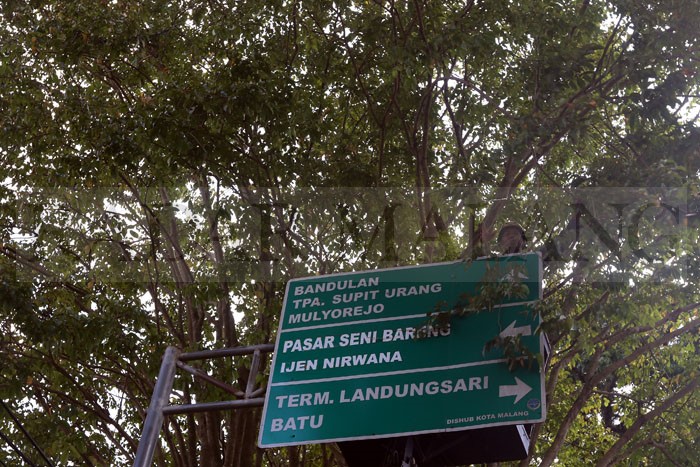 Petugas DLH Kota Malang memangkas ranting pohon yang menutupi rambu di Jalan Kawi.