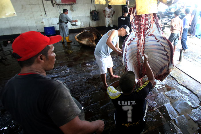 Pemotongan daging sapi di RPH Kota Malang.
