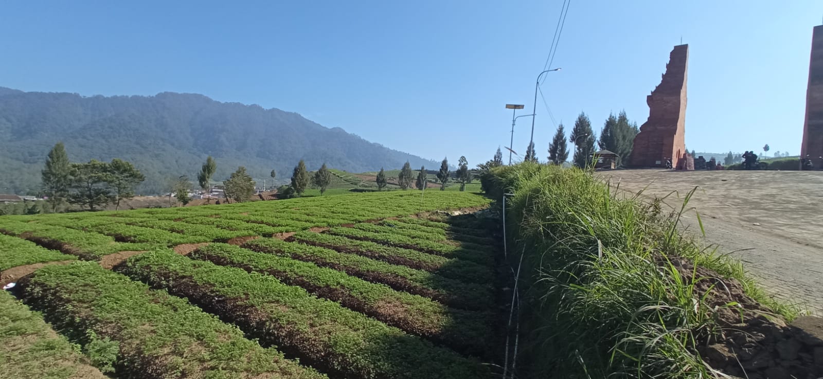MANJAKAN MATA: Area persawahan di daerah Brakseng, Desa Sumberbrantas kini menjadi tempat wisata yang ramai