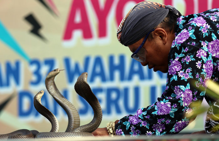 Pawang dan tiga ekor ular di Predator Fun Park, Kota Batu.