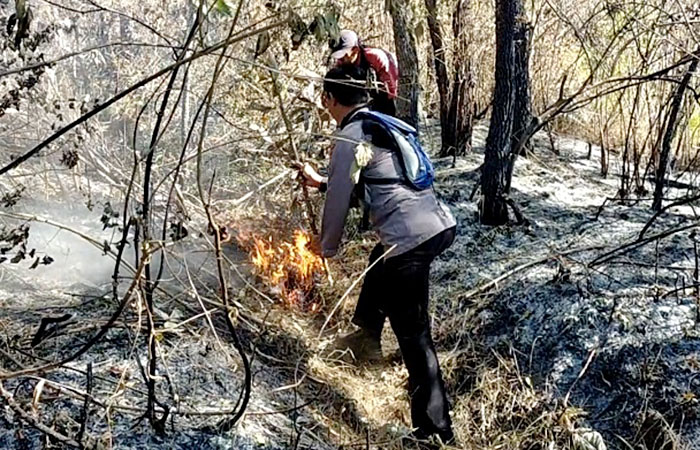 Api dipadamkan di lereng gunung Arjuno Kecamatan Lawang Kabupaten Malang
