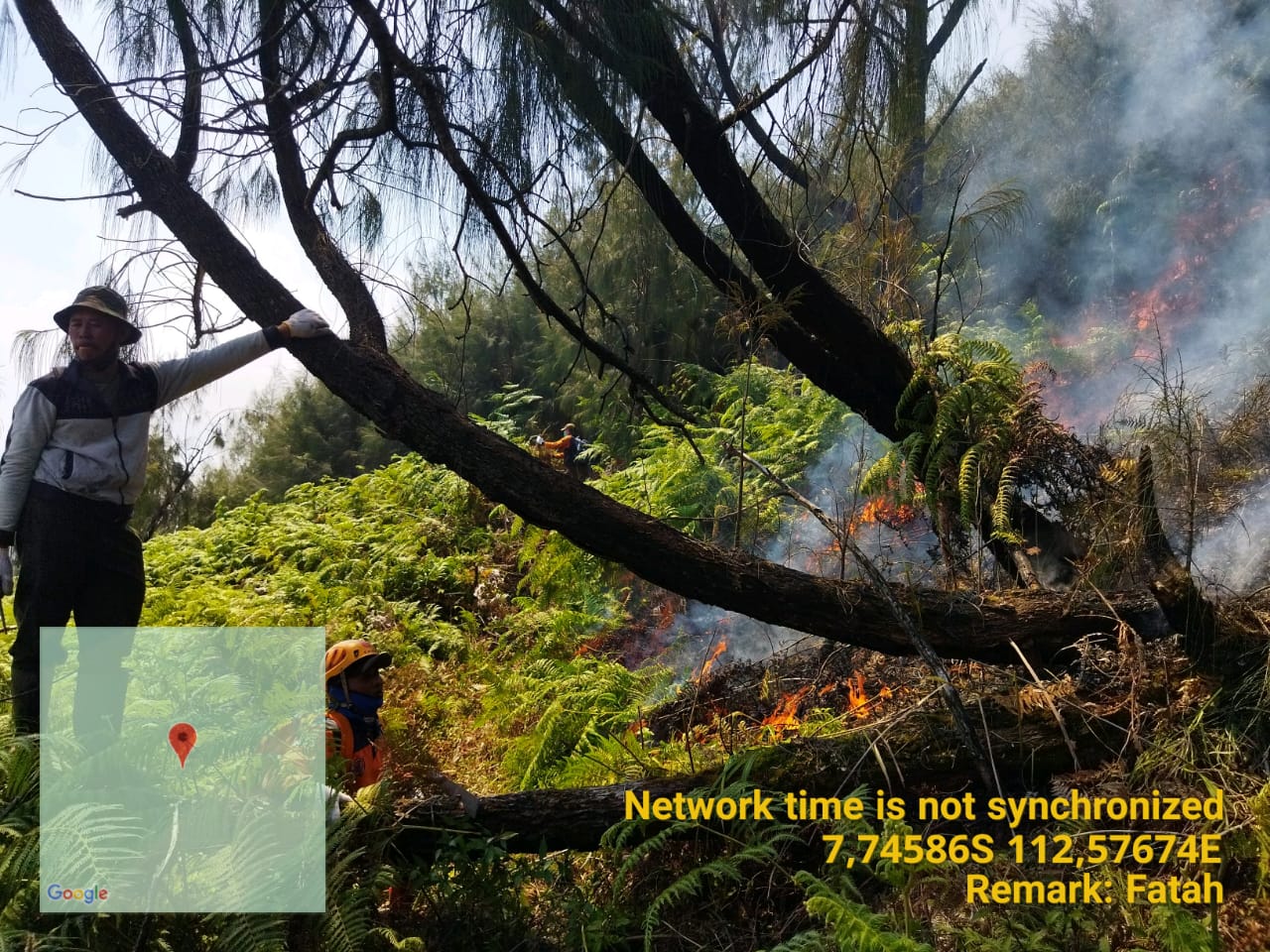 MEMBARA: Salah satu titik di hutan lereng Gunung Arjuno terbakar.