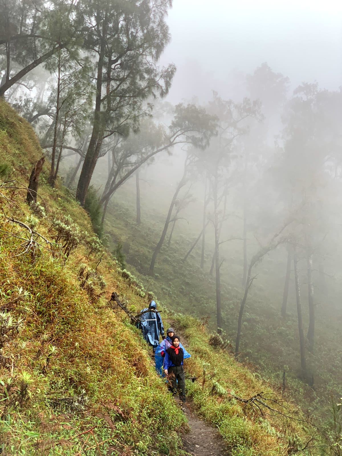 MENANTANG: Para pendaki saat menyusuri jalan setapak di Gunung Butak.
