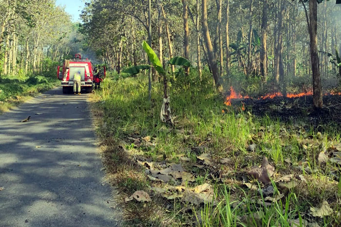 Tim Damkar Kabupaten Malang memadamkan api yang membakar lahan hutan jati di Dusun Kebonsari, Desa Ngebruk, Kecamatan Sumberpucung, kemarin siang (1/10).