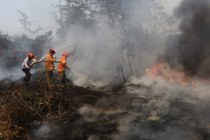 Tim Damkar Kota Malang berjibaku memadamkan kobaran api yang membakar lahan bambu di Jalan Simpang KH Yusuf, Kelurahan Tasikmadu, Lowokwaru, kemarin (13/10).