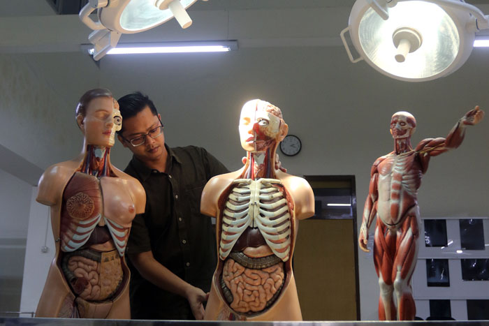 Salah satu petugas di Laboratorium Anatomi UB menunjukkan contoh manekin tubuh manusia kemarin.