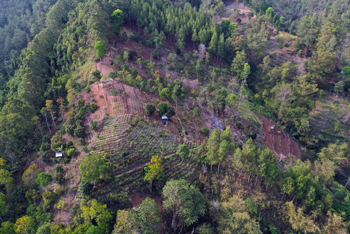 puncak bukit di wilayah Pujon gundul karena alih fungsi menjadi ladang sayur