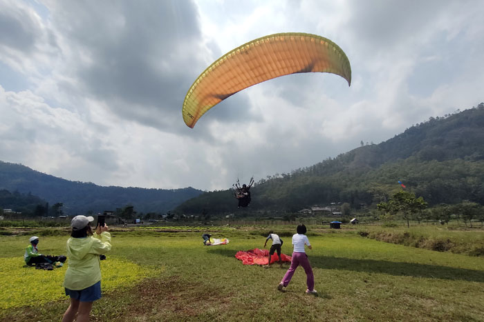 SEDOT WISATAWAN:&nbsp; Salah seorang pilot tandem paralayang landing di Lapangan Songgomaruto sambil membawa wisatawan, Selasa siang (21/11).