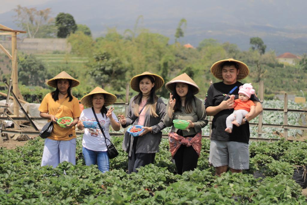 TERHIBUR: Sejumlah wisatawan mengunjungi Lumbung Stroberi di Desa Pandanrejo, Bumiaji untuk mengisi liburan.