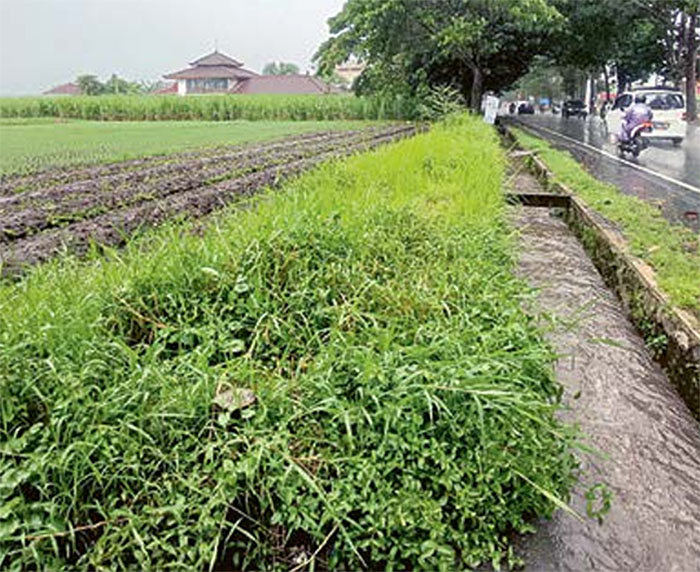 dIpERSIApKAN: Lahan kosong di Jalan Raya  Arjowinangun, Kedungkandang. rencananya menjadi  lokasi pembangunan pasar terpadu.