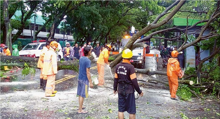 MENUTUP JALAN: Warga dan petugas Dinas Lingkungan Hidup Kota Malang memotong batang serta dahan pohon spathodea atau kecrutan jowo yang roboh di Gadang gang 6 kemarin sore (21/2). Lalu lintas dari dua