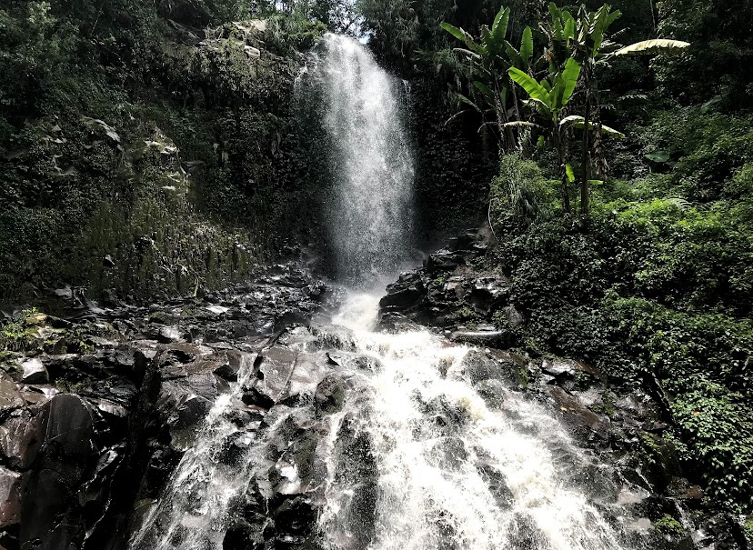 [Coban Trisula]