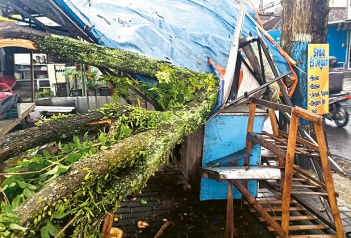 MENIMPA ROMBONG: Sebuah pohon di Jalan Saxophone, Kelurahan Tunggulwulung, Kecamatan Lowokwaru, tumbang setelah diterpa hujan deras dan angin kencang kemarin.