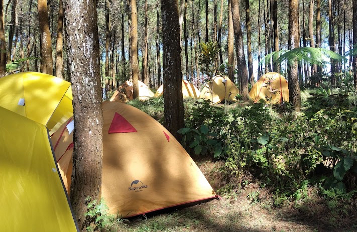 [Precer Forest Camp]