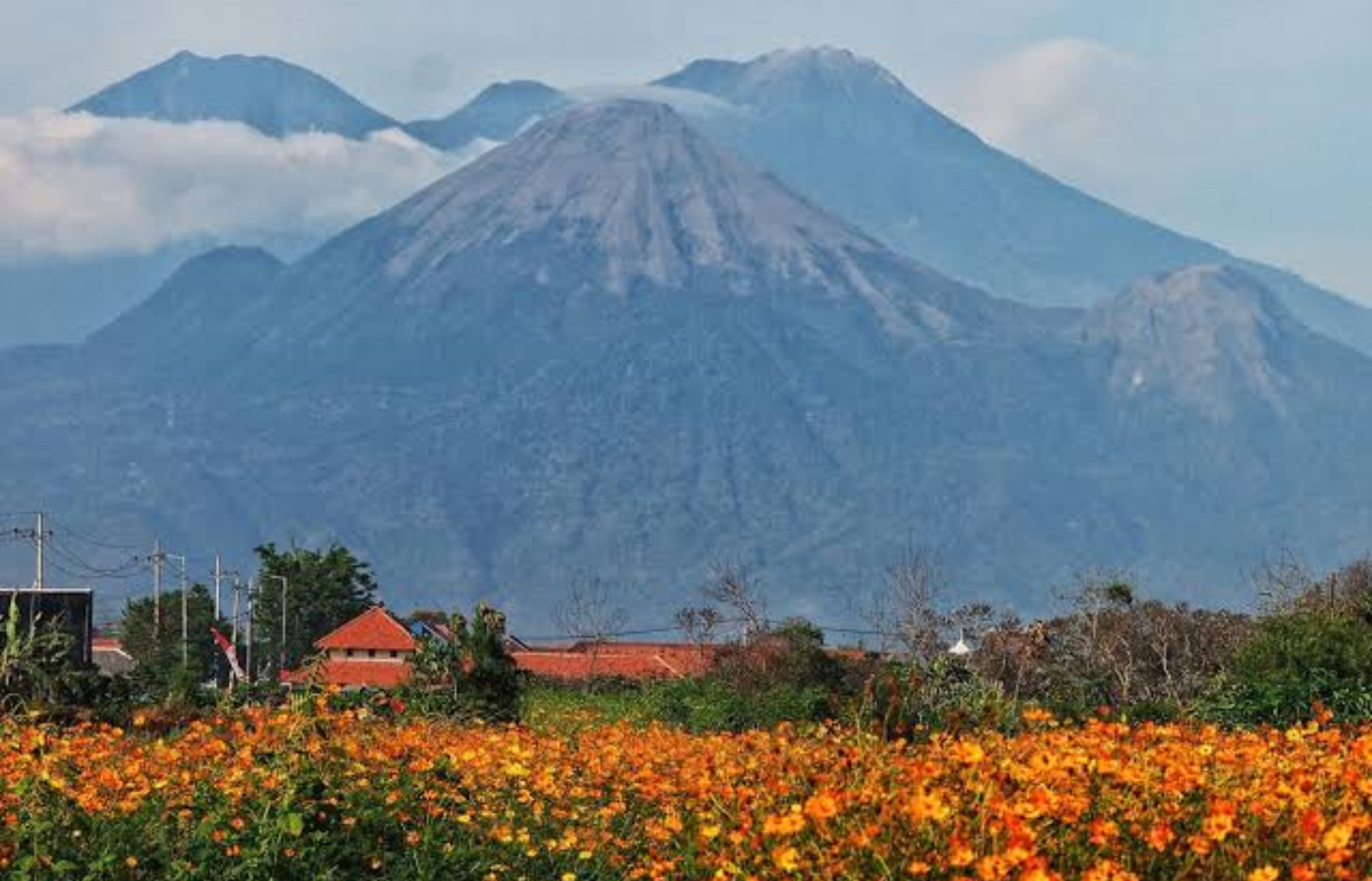 source tahura raden soerjo