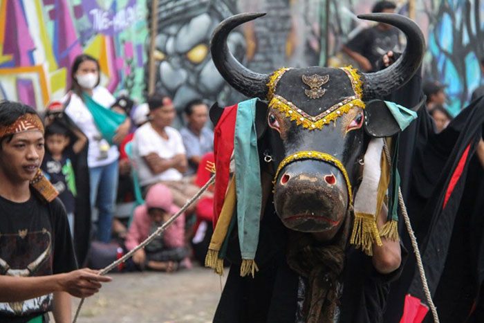 Ini Jadwal lengkap pertunjukan Bantengan dalam acara Festival Kesenian Bulan Mei 2024 di Malang