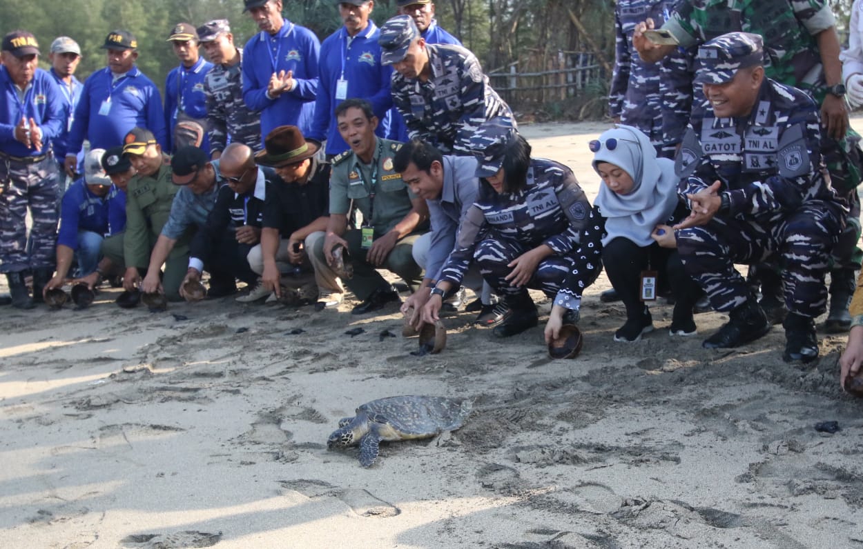 Brigjend TNI (mar)  Gatot Mardiono, S.H., M.Tr Opsla., Kepala Dinas Pembinaan Potensi Maritim Angkatan Laut (paling kanan) melepas penyu dan tukik ke lepas pantai