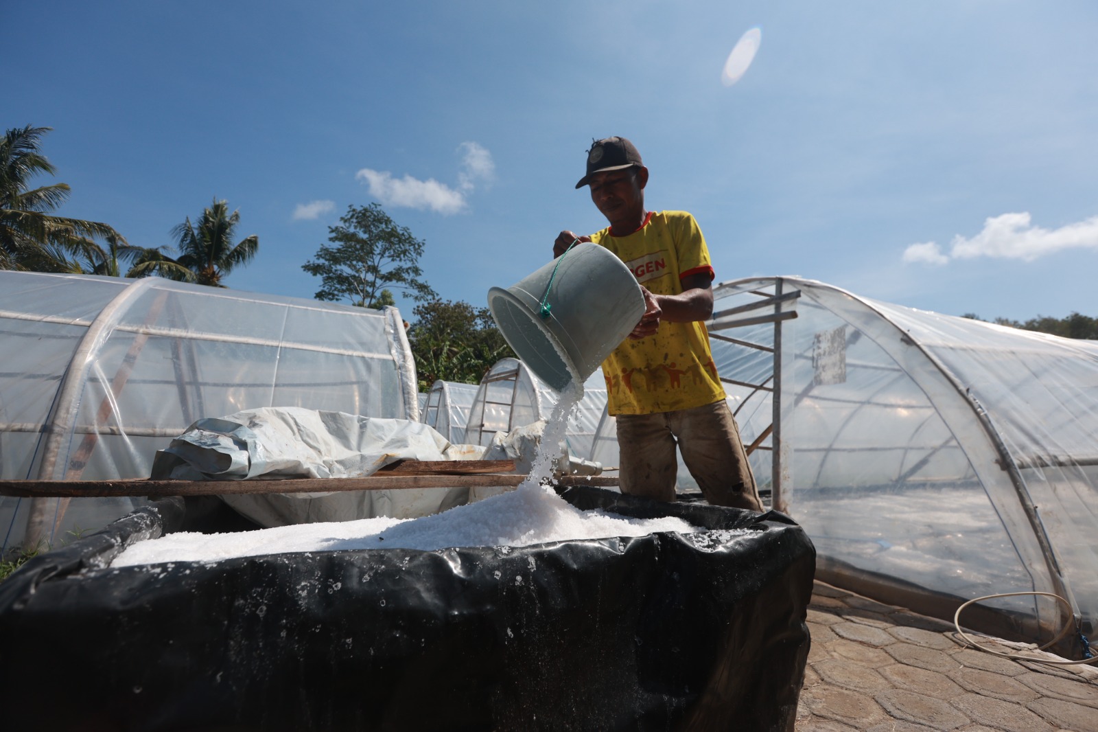 Petani garam Kugar Bajulmati memanen garam yang diproduksi di dalam tunnel kedap air dan tidak terlalu bergantung pada terik matahari kemarin (27/6).&nbsp;