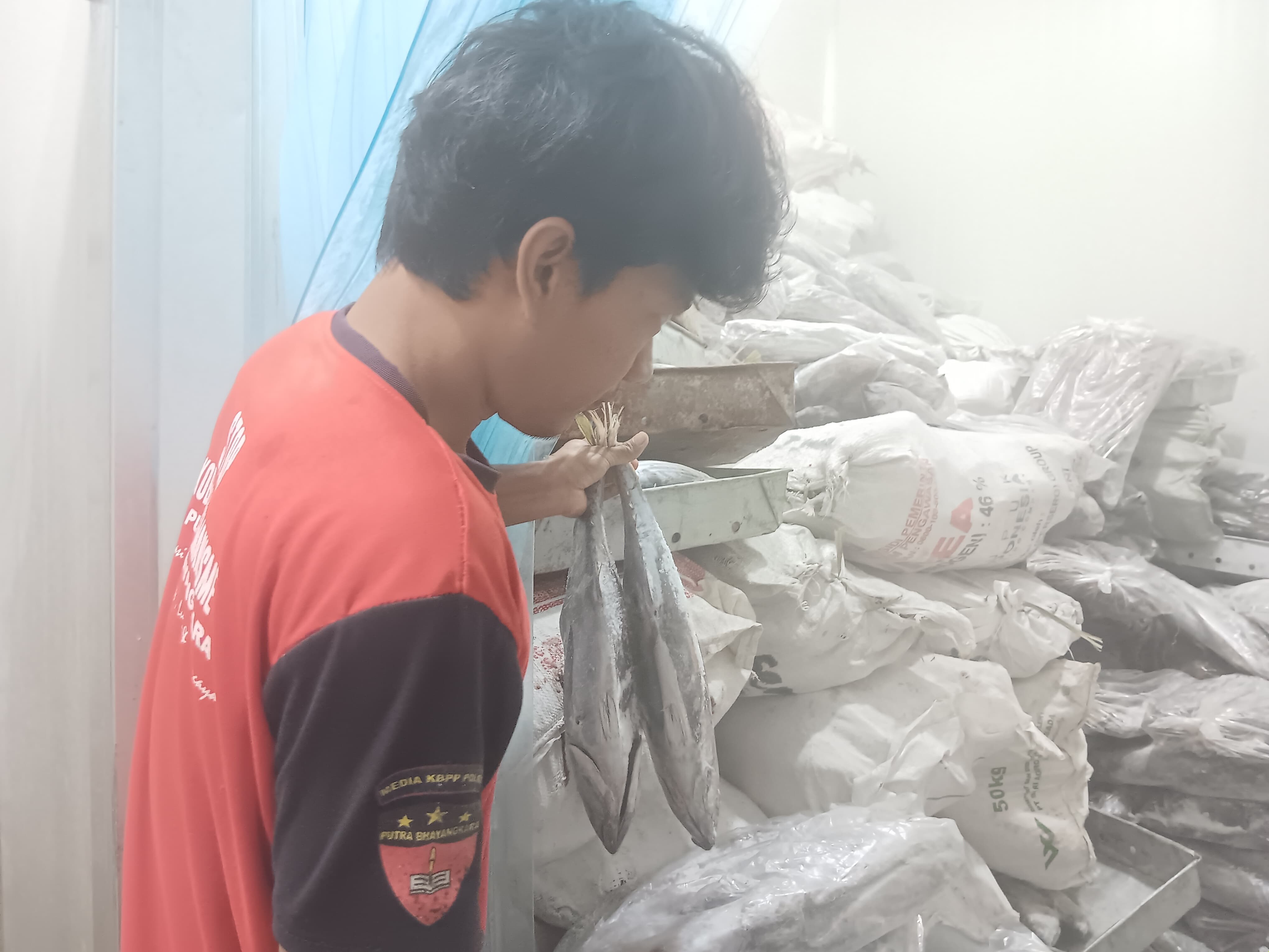 FASILITAS: Salah seorang pegawai Cold Storage Turen memeriksa ikan di ruang penyimpanan kemarin (1/7).