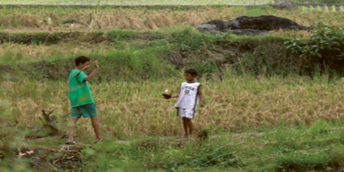 YANG TERSISA: Lahan sawah di Kelurahan Tunjungsekar, Kecamatan Lowokwaru, Kota Malang berbatasan langsung dengan permukiman baru. Dulu permukiman itu juga merupakan lahan pertanian.