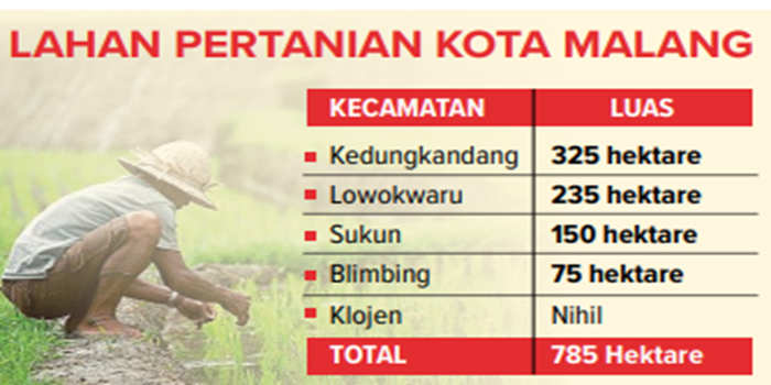 Infografik lahan pertanian Kota Malang