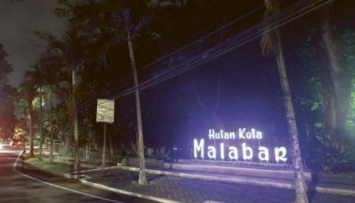 GELAP: Kondisi Hutan Malabar ketika malam hari. Hanya cahaya dari PJU yang menerangi area sekitar hutan.