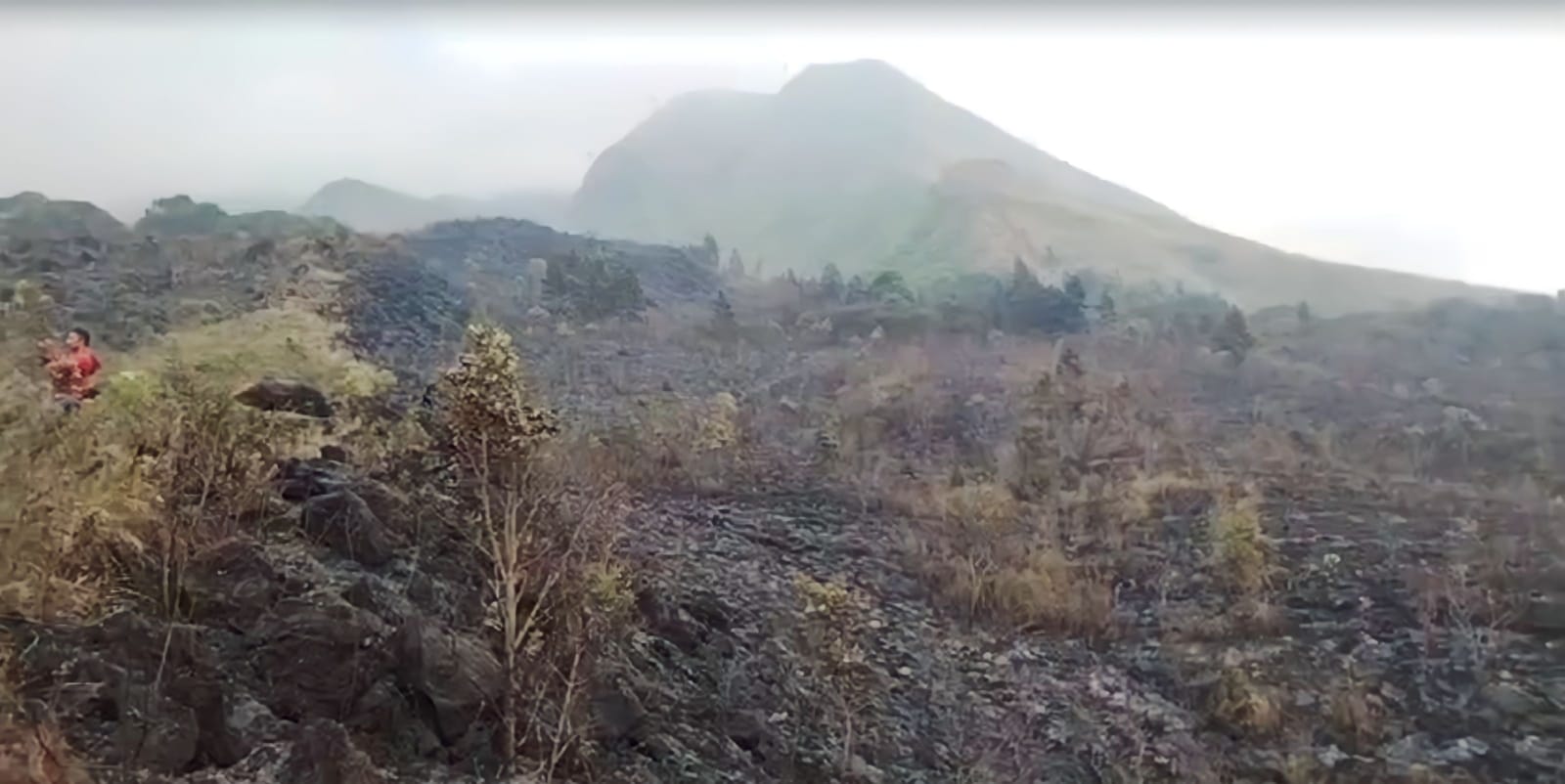 HUTAN LINDUNG HANGUS: Tim gabungan membutuhkan waktu sekitar tiga jam untuk memadamkan kobaran api di lereng Gunung Arjuno, Desa Toyomarto, Kecamatan Singosari, Kabupaten Malang.