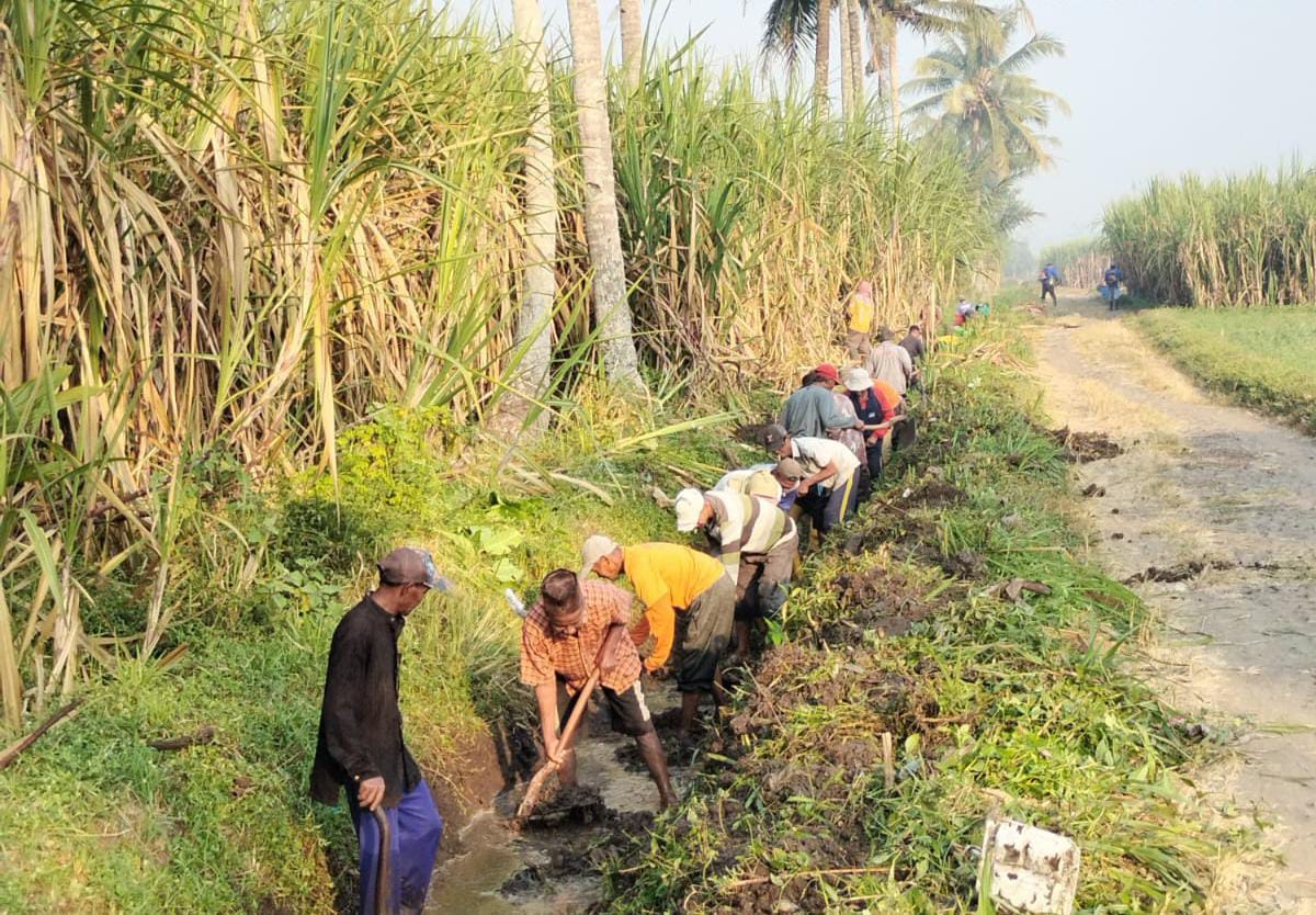 GOTONG ROYONG: Warga membersihkan sedimen di saluran irigasi Desa Pagelaran, Kecamatan Pagelaran, Kabupaten Malang, kemarin.