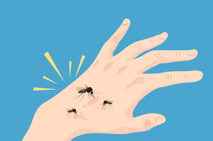 Nyamuk menjadi pembawa virus Oropouche di Brasil