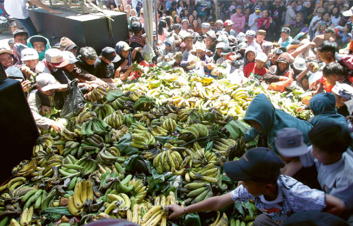 TRADISI SUKU TENGGER: Warga berebut pisang yang dibagikan pada acara Tumpeng Gede di Desa Ngadas, Kecamatan Poncokusumo, Kabupaten Malang, kemarin (21/8).