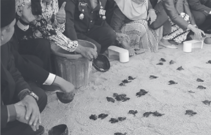 PELEPASAN: Tukik atau anak penyu dilepas ke laut, beberapa waktu lalu. Butuh dana sekita Rp 70 Rp 100 juta untuk membangun konservasi penyu.