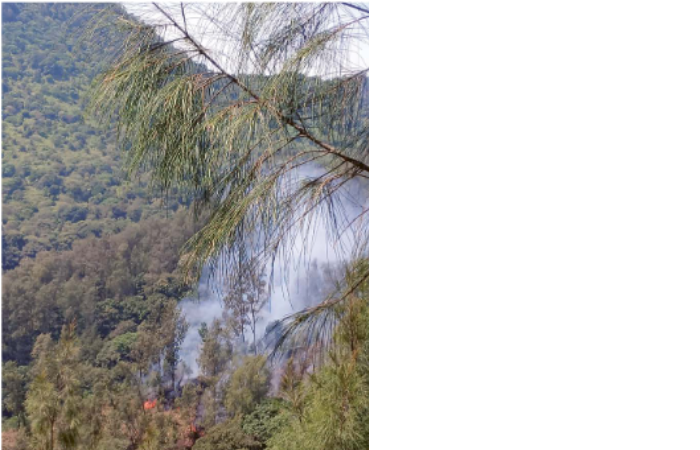TERJAL: Titik api terakhir di petak 100 hutan Gunung Panderman belum bisa dipadamkan hingga kemarin sore (27/8). Kebakaran terjadi sejak Senin sore (26/8).